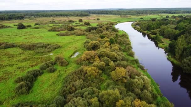 Voli Sul Fiume Foresta Autunno — Video Stock