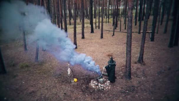 Boze Tovenaar Brouwt Een Drankje Een Ketel Het Bos Scène — Stockvideo