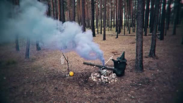 Sorcier Maléfique Prépare Une Potion Dans Chaudron Forêt Scène Pour — Video