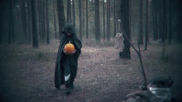 Frygtelig Mørk Figur Med Græskar Går Gennem Skoven Halloween Scene – Stock-video