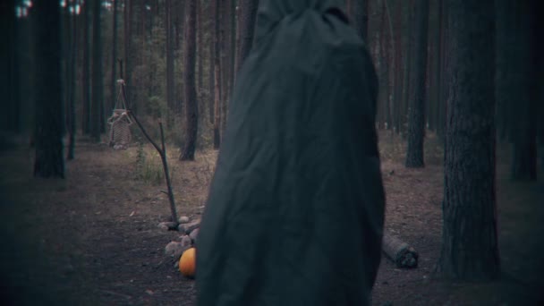 Terrible Silhouette Sombre Marcher Dans Forêt Scène Pour Halloween — Video