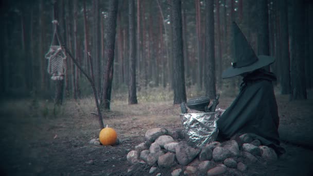 悪の魔術師は森の中の釜の中に鉢を持ち込む ハロウィーンのシーン — ストック動画