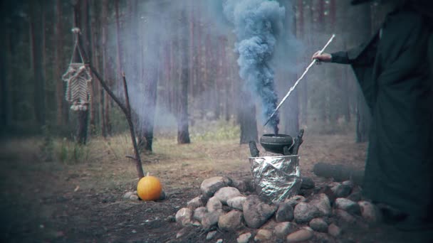 Figur Gelap Yang Mengerikan Membuat Ramuan Dalam Kuali Hutan Adegan — Stok Video