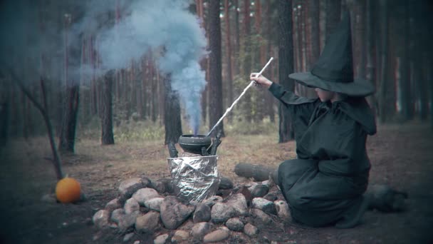 邪恶的巫师在森林里的大锅里酿造一种药水 万圣节的场景 — 图库视频影像