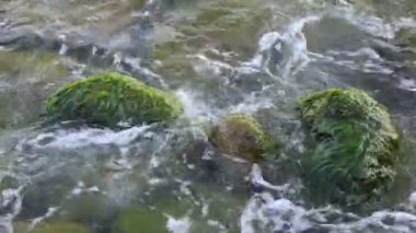 su dalgaları arasında taşların deniz plaj