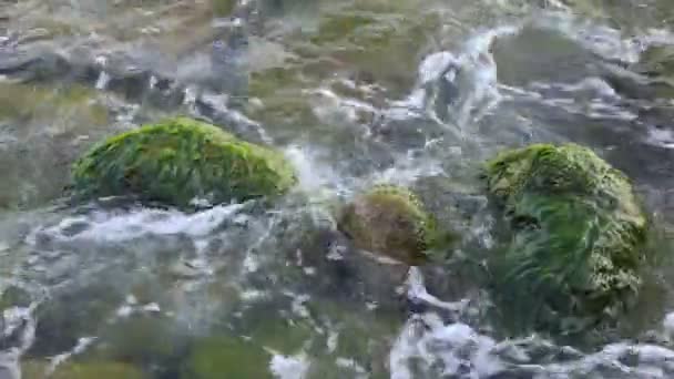 Víz hullámai között a tenger parton kövek — Stock videók