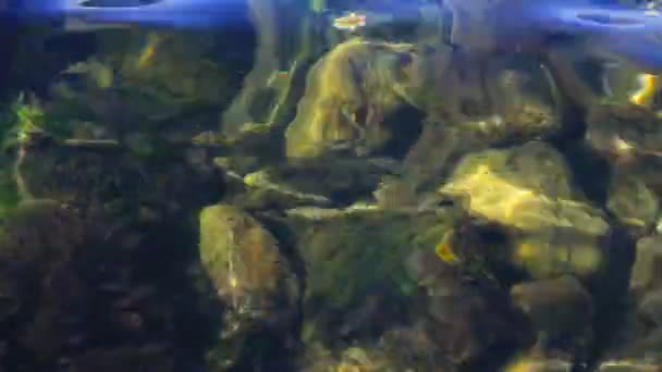 Víz hullámai között a tenger parton kövek — Stock videók