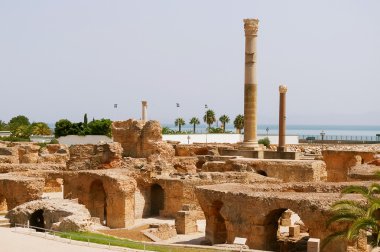 Carthago (Carthage), antik Kartaca Medeniyeti başkenti mahveder. UNESCO dünya mirası. Tunis, Tunus.