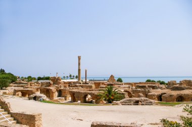Carthago (Carthage), antik Kartaca Medeniyeti başkenti mahveder. UNESCO dünya mirası. Tunis, Tunus.