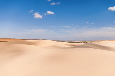 Beyaz Kum tepelerini (bau sen, bau trang) - MUI Ne, Binh Thuan, Vietnam yakınındaki işareti. Metin için yer.