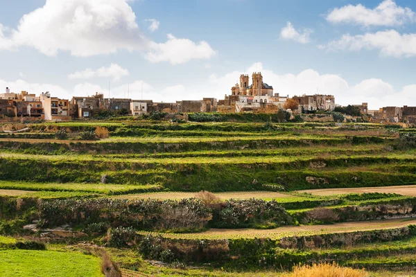 Vista panoramica sui campi e sulla Basilica di San Giorgio. Isola di Gozo, Malta . — Foto Stock