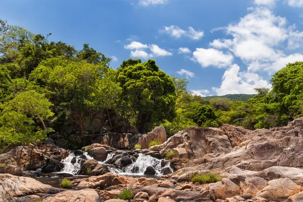 Selva y pequeña cascada. Paisaje en un día soleado. Vietnam . — Foto de Stock