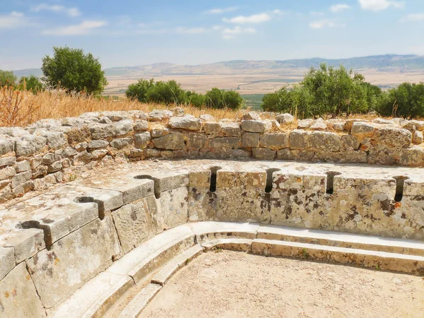 Ősi nyilvános WC. Dougga, római romok. UNESCO Világörökség Tunéziában. — Stock Fotó