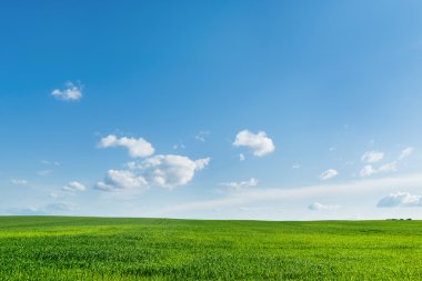 Kırsal alan doğal arka plan. Yeşil çim ve mavi gökyüzü. 