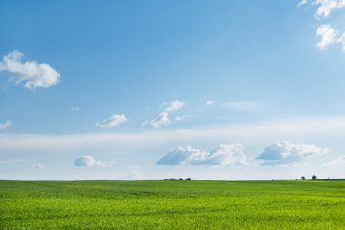 Kırsal alan doğal arka plan. Yeşil çim ve mavi gökyüzü. 