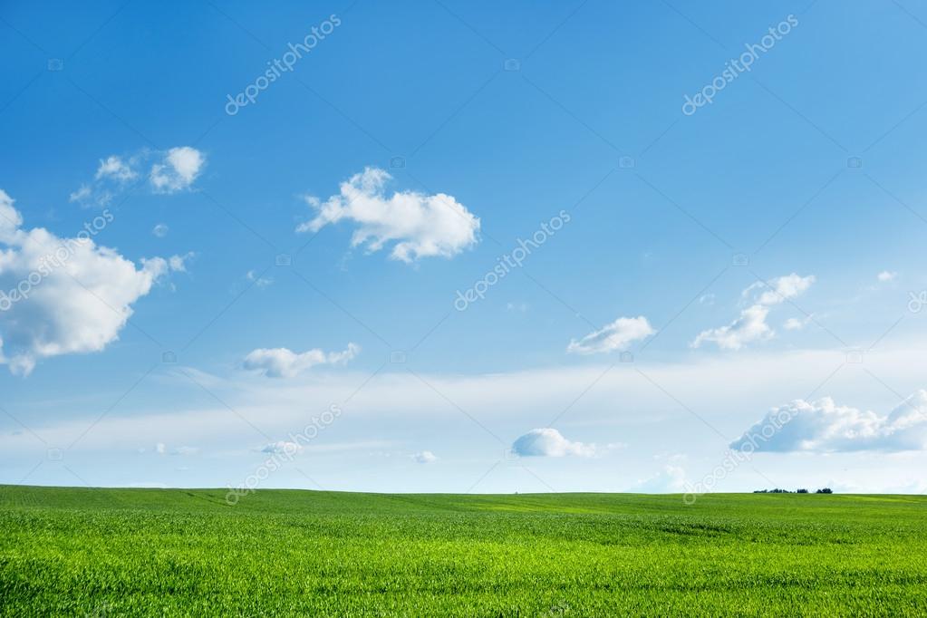 Countryside Field Natural Background Green Grass And Blue Sky Stock Photo Image By C Aksenovko