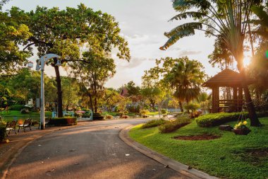 Süs Bitkileri ve bahçedeki ağaçlar. Palmtrees, çiçek ve ahşap pavyonlar. Bangkok, Tayland.
