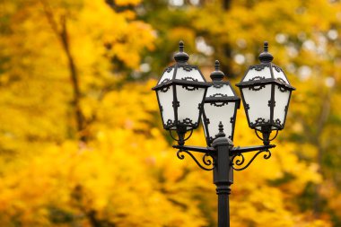 Sokak fener sonbahar arka plan üzerinde. Sarı akçaağaç yaprakları ile doğal arka plan.