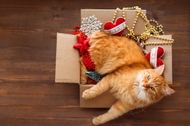 Zencefil kedi kutusu ahşap arka plan üzerinde Noel ve yeni yıl süslemeleri ile yatıyor. Kabarık pet orada uyumak için ne yapıyor. 