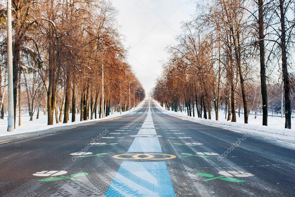 Alley of newlyweds. Avenue in Victory Park. Winter sunny day. Moscow, Russia.