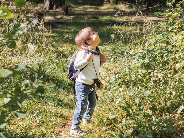 Любопытный Мальчик Путешествует Лесу Освещенному Солнечным Светом Активный Отдых Свежем — стоковое фото
