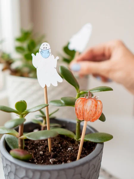 Frau Dekoriert Blumentöpfe Mit Handgefertigten Dekorationen Für Halloween Bemalter Geist — Stockfoto