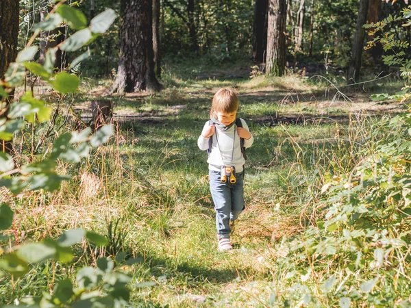 Любопытный Мальчик Путешествует Лесу Освещенному Солнечным Светом Активный Отдых Свежем — стоковое фото