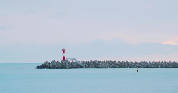 Las gaviotas y los cormoranes se sientan en el rompeolas del puerto. Faro sobre fondo azul del cielo. Sochi, Rusia. — Vídeos de Stock