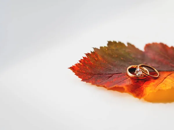 明るくカラフルな紅葉の上に金色の結婚指輪 光と影のモノクロームの幾何学 ミニマリズム — ストック写真
