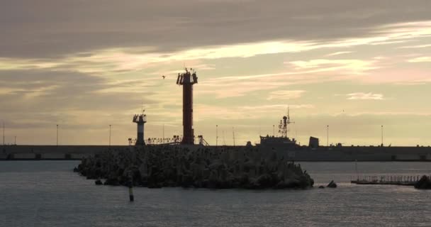 ソチ、ロシア- 2020年2月3日。海鳥や鵜が港の防波堤に腰を下ろしている。豪華な夕日の背景の灯台. — ストック動画