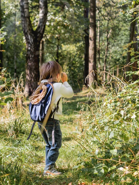 Ragazzo Curioso Sta Camminando Nella Foresta Attività Tempo Libero All — Foto Stock