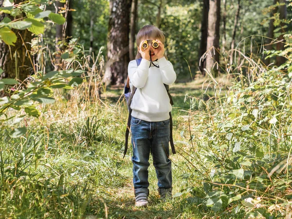 Ragazzo Curioso Sta Camminando Nella Foresta Attività Tempo Libero All — Foto Stock