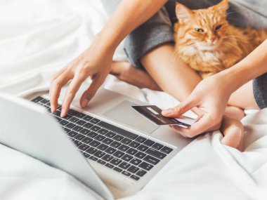 Tatlı kızıl kedi ve dizüstü bilgisayarlı kadın. Kadın internetten sipariş veriyor ve kredi kartıyla ödüyor. İnternetten alışveriş. Sabah tüylü evcil hayvanla yatma vakti.. 