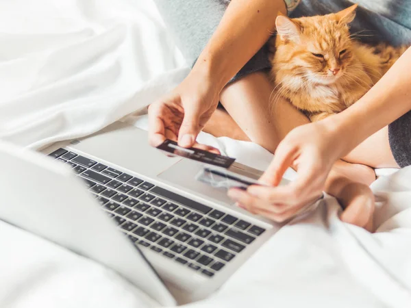 Tatlı kızıl kedi ve dizüstü bilgisayarlı kadın. Kadın internetten sipariş veriyor ve kredi kartıyla ödüyor. İnternetten alışveriş. Sabah tüylü evcil hayvanla yatma vakti.. 