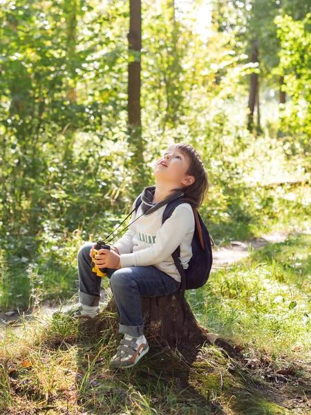 Kleiner Entdecker Auf Waldwanderung Junge Mit Fernglas Sitzt Auf Baumstumpf — Stockfoto