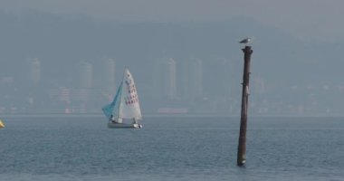 SOCHI, Rusya - Şubat 02, 2020. Denizcilik Eğitimi Okulu. İnsanlar küçük bir yatta yelken açmayı öğreniyor. Martı tüylerini kurutur..