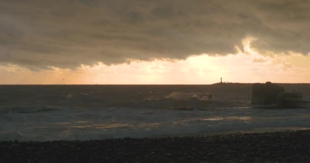 Seagulls and cormorants sit on breakwater. Lighthouse on sunset background with stormy Black sea. Port of Sochi, Russia. — Stockvideo