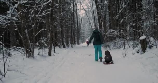 La donna porta il bambino sulla slitta lungo il sentiero nella foresta invernale. Attività per il tempo libero all'aperto nella stagione fredda e nevosa. — Video Stock