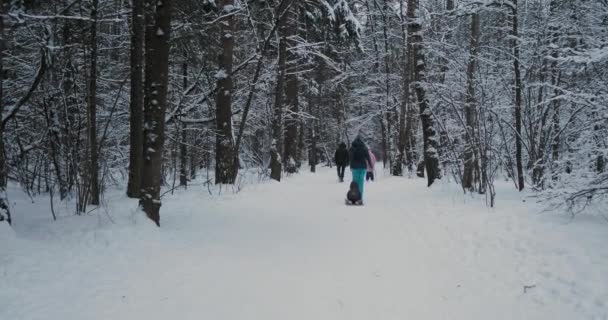 La donna porta il bambino sulla slitta lungo il sentiero nella foresta invernale. Attività per il tempo libero all'aperto nella stagione fredda e nevosa. — Video Stock