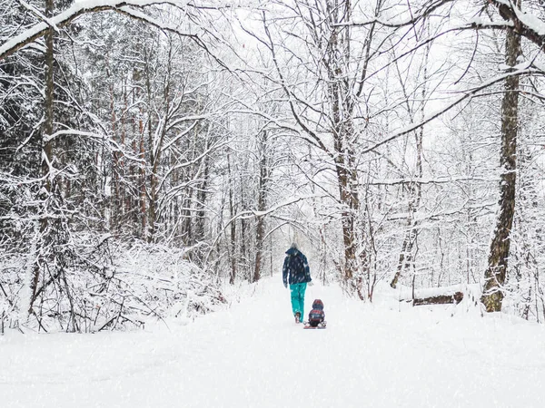 Vrouw Draagt Kind Slee Langs Het Pad Het Winterbos Outdoor — Stockfoto