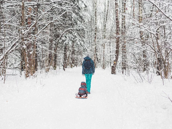 Vrouw Draagt Kind Slee Langs Het Pad Het Winterbos Outdoor — Stockfoto