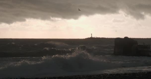 Las gaviotas y los cormoranes se sientan en el rompeolas. Faro sobre fondo de atardecer con el mar Negro tormentoso. Puerto de Sochi, Rusia. — Vídeo de stock