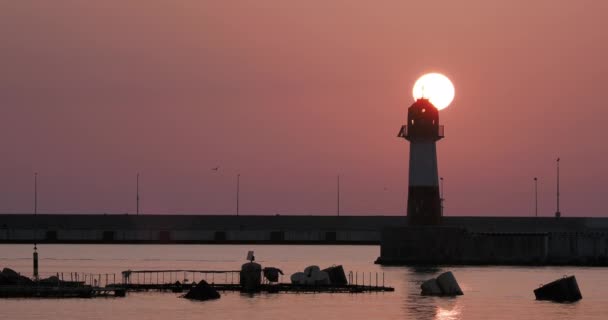 Σιλουέτα του φάρου σε πανέμορφο φόντο ηλιοβασίλεμα. Λιμάνι Σότσι, Ρωσία. — Αρχείο Βίντεο