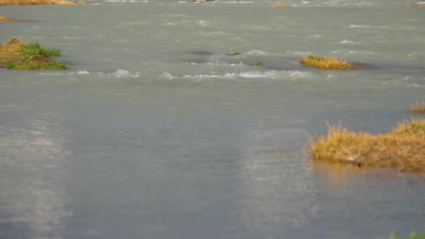 水面の泡波。山から街を流れるソチ川の流れ。ソチロシア. — ストック動画