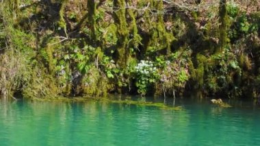 Karst kökenli mavi göl Bzyb Nehri 'nin sağ kıyısında. Abhazya 'nın simgesi.