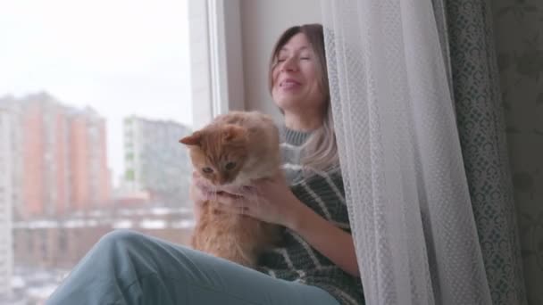 Žena hladí roztomilou zázvorovou kočku. Chlupatý mazlíček opouští svého majitele na parapetu. — Stock video