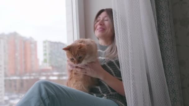 Mujer acariciando lindo jengibre gato. Fluffy mascota dejando a su dueño en el alféizar de la ventana. — Vídeo de stock