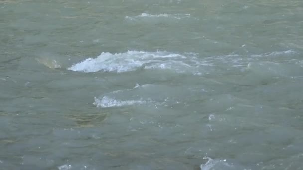 Vlny pěny na vodní hladině. Potok řeky Soči tekoucí z hor přes město. Soči, Rusko. — Stock video
