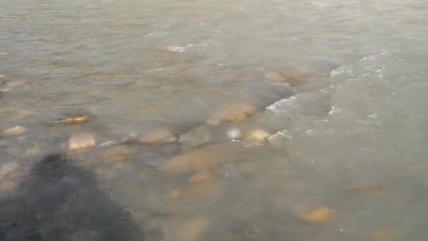 Schuimgolven op het wateroppervlak. Stroom van de Sochi rivier stroomt van bergen door de stad. Sotsji, Rusland. — Stockvideo