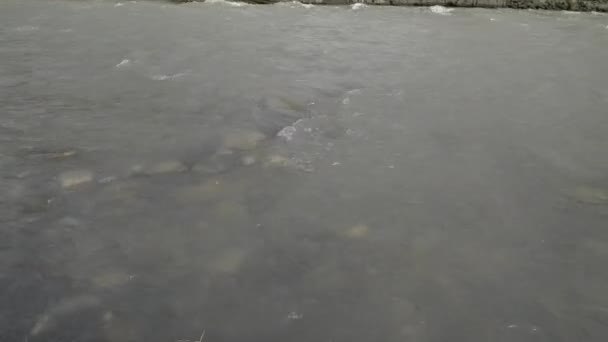 Schuimgolven op het wateroppervlak. Stroom van de Sochi rivier stroomt van bergen door de stad. Sotsji, Rusland. — Stockvideo